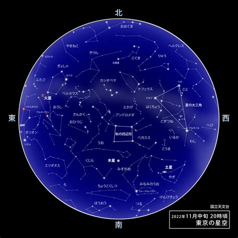 11月28號星座|星座11月28 